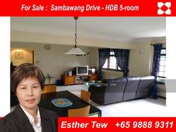 Blk 413 Sembawang Drive (Sembawang), HDB 5 Rooms #123516242